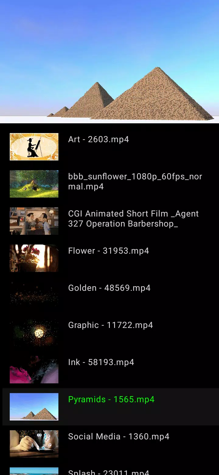 Next Player Video Player Queue Next Player Video Player Queue